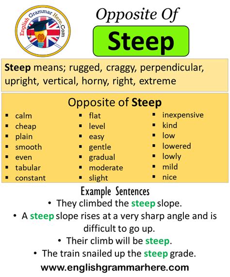 steepest synonym|opposite of steepest.